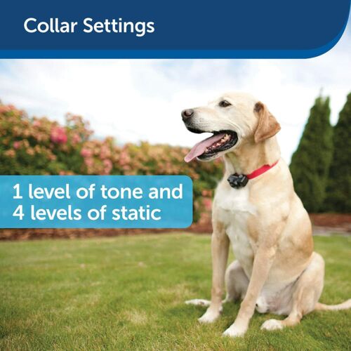 Petsafe Bark Control Collar